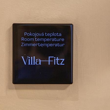 Villa Fitz Rokycany Esterno foto